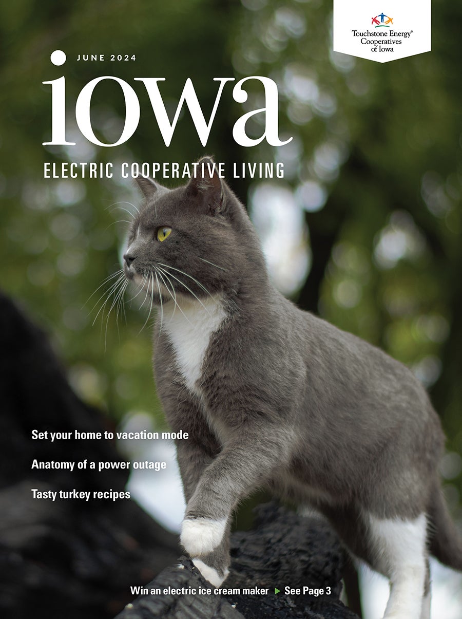 June Cover