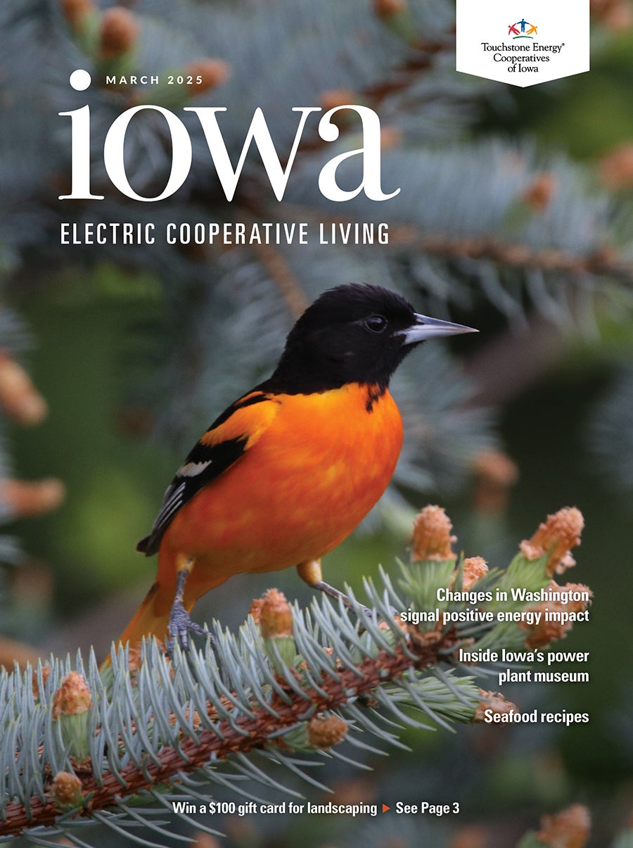 March cover