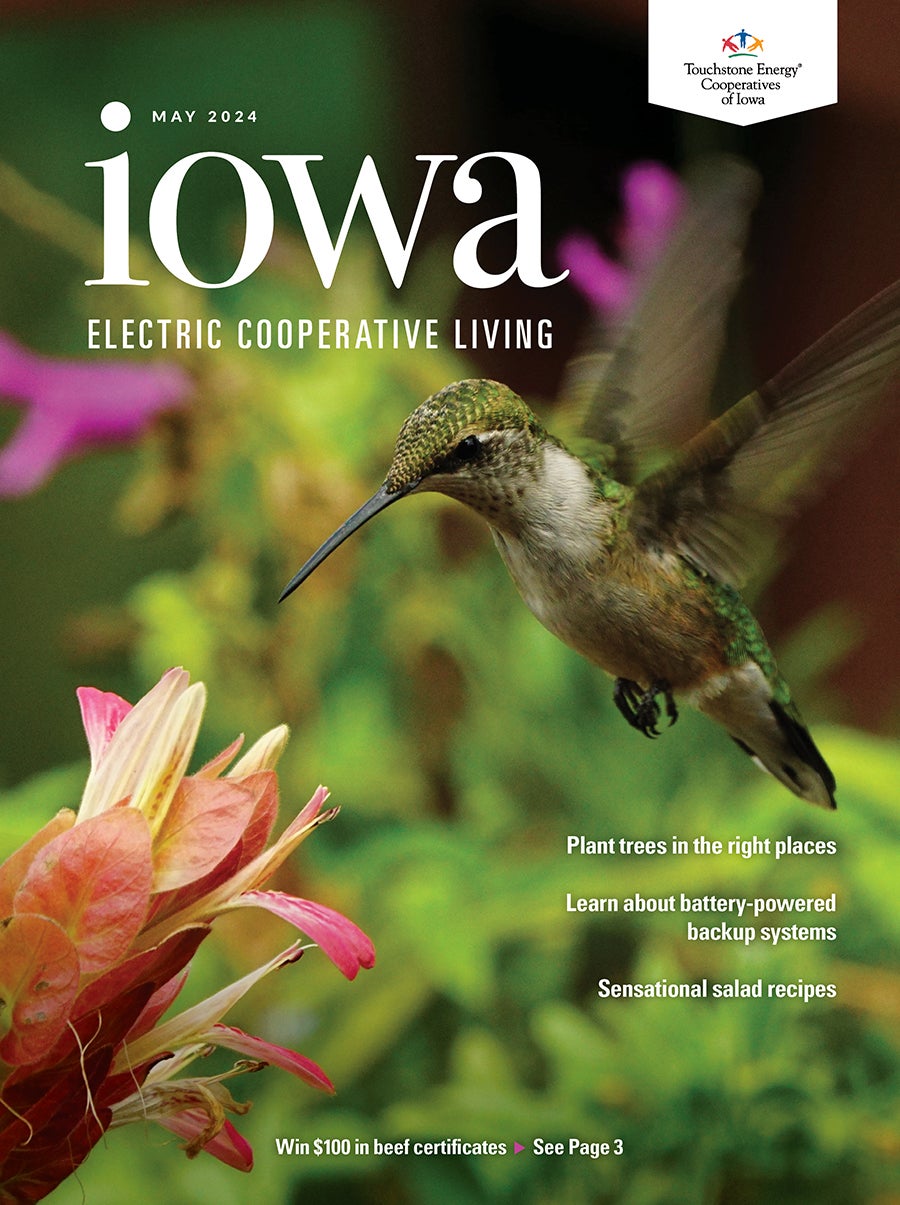 May Cover