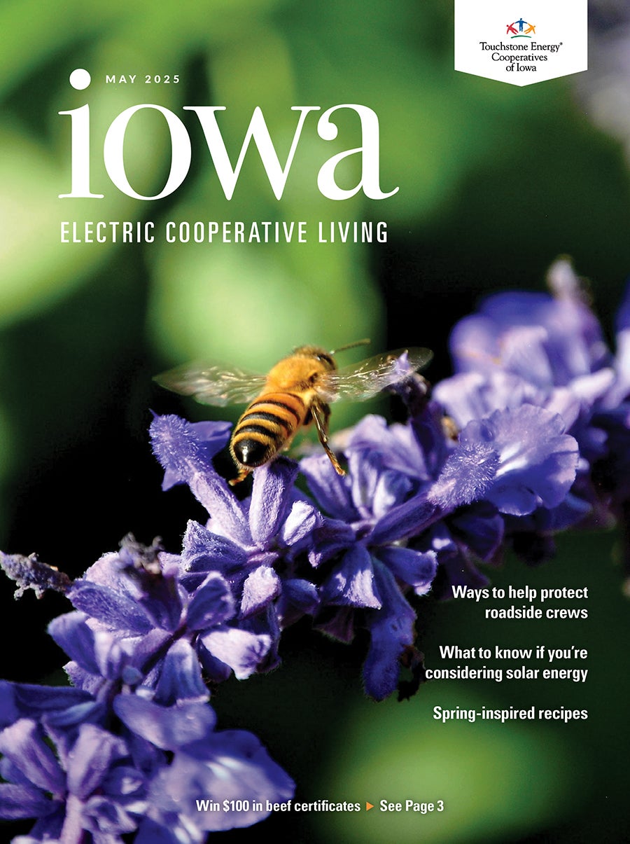May Cover