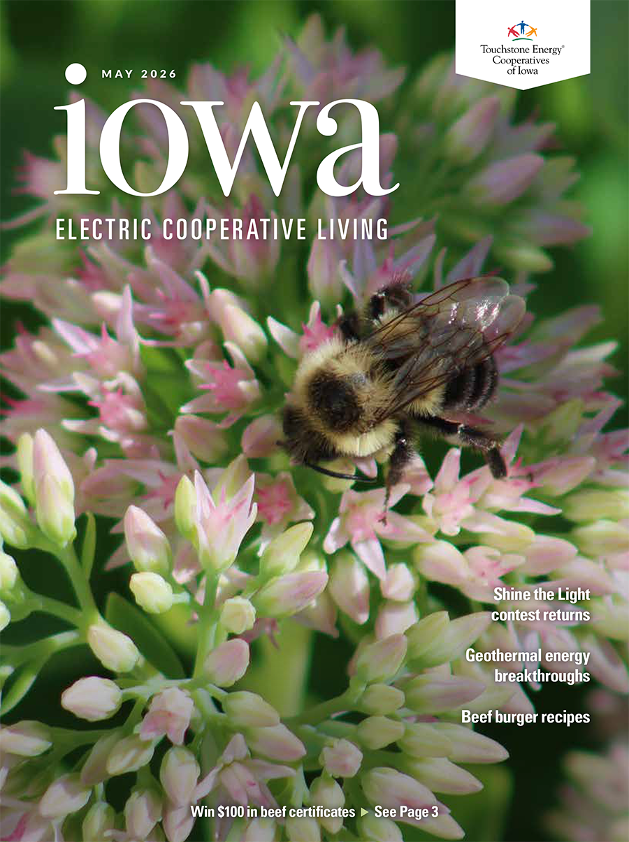 May Cover